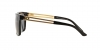 VE4307 Sunglasses
