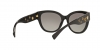 VE4307 Sunglasses