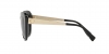 VE4319 Sunglasses