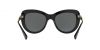 VE4319 Sunglasses