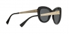 VE4319 Sunglasses