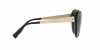VE4319 Sunglasses
