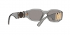 VE4361 Sunglasses