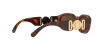 VE4361 Sunglasses