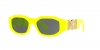 VE4361 Sunglasses