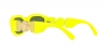 VE4361 Sunglasses