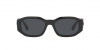 VE4361 Sunglasses