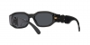 VE4361 Sunglasses