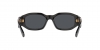 VE4361 Sunglasses