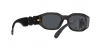 VE4361 Sunglasses
