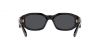 VE4361 Sunglasses