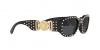 VE4361 Sunglasses