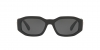 VE4361 Sunglasses