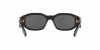 VE4361 Sunglasses