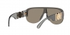 VE4391 Sunglasses