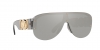 VE4391 Sunglasses