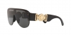 VE4391 Sunglasses