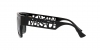 VE4430U Sunglasses