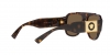 VE4436U Sunglasses