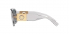 VE4436U Sunglasses