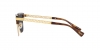 VE4447 Sunglasses