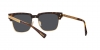 VE4447 Sunglasses