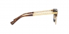 VE4447 Sunglasses