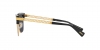 VE4447 Sunglasses