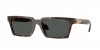VE4490U Sunglasses