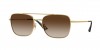 VO4294SI Sunglasses