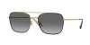 VO4294SI Sunglasses