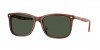VO5618S Sunglasses